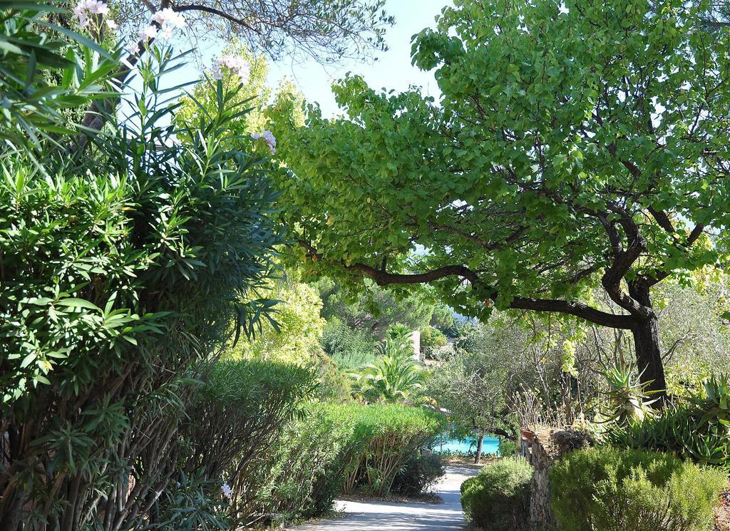 Residence Fior Di Rena Saint-Florent  Exterior foto