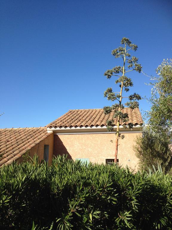 Residence Fior Di Rena Saint-Florent  Exterior foto