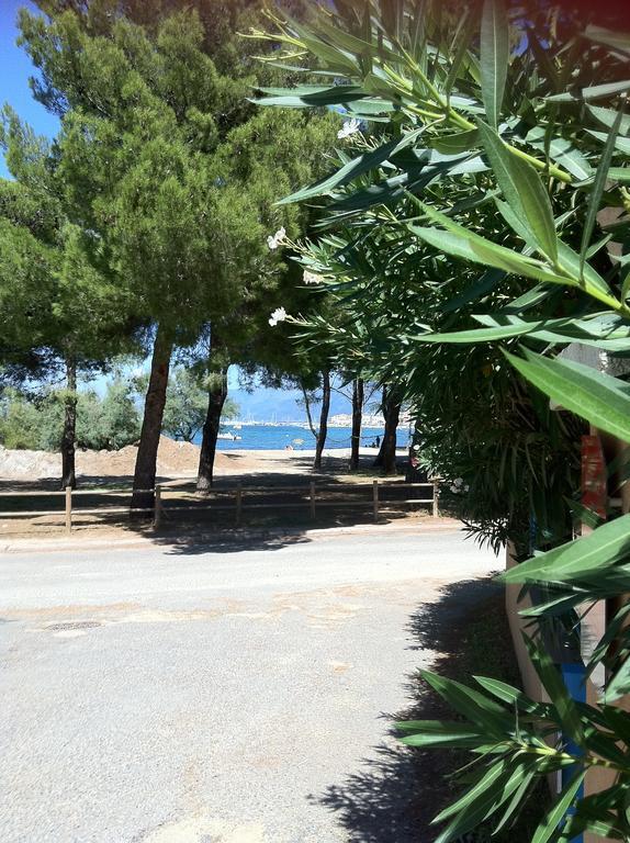 Residence Fior Di Rena Saint-Florent  Exterior foto